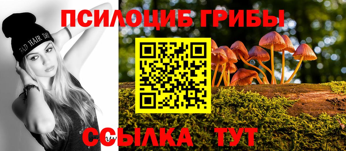 Галлюциногенные грибы Magic Shrooms  Вход с VPN  Псилоцибиновые грибы мухоморы  Чистополь 